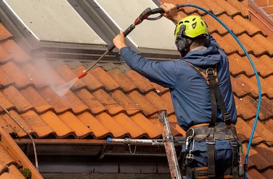 Démoussage et hydrofuge de toiture à Nervieux